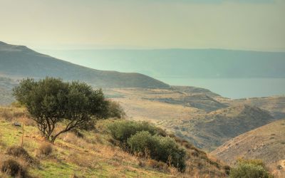 Why Is the Sermon on the Mount So Important?